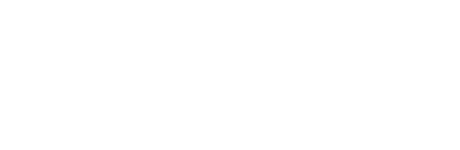 icon-1